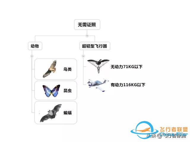 學習飛行的初級入門知識！-28