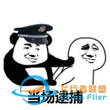 這也太剛了！為讓飛行模擬更真實(shí)，開發(fā)者購買戰(zhàn)斗機(jī)說明書遭逮捕-5891