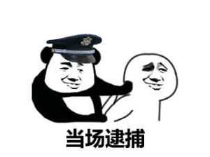 這也太剛了！為讓飛行模擬更真實，開發者購買戰斗機說明書遭逮捕