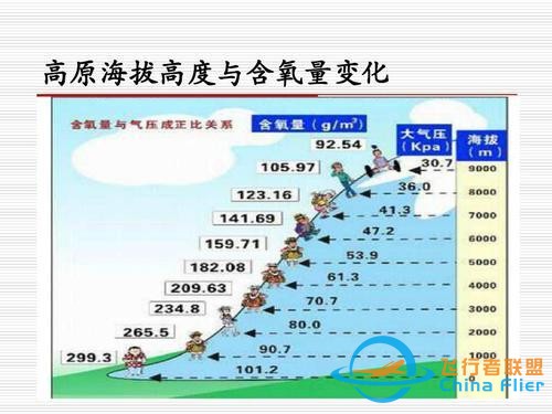 鳥類強(qiáng)大的飛行能力背后，做了哪些犧牲？一文了解飛行的秘密-9973