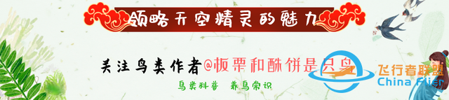 鳥類強(qiáng)大的飛行能力背后，做了哪些犧牲？一文了解飛行的秘密-6509