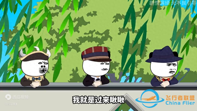 這飛行技術(shù)很專業(yè) 跟著后面飛七個(gè)小時(shí) 技術(shù)很到位 哈哈-6640