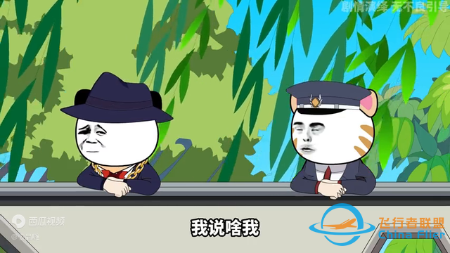 這飛行技術(shù)很專業(yè) 跟著后面飛七個(gè)小時(shí) 技術(shù)很到位 哈哈-2819