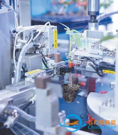 “數(shù)字未來”啥模樣？這個博覽會給你超酷體驗-8465