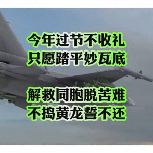 空中戰斗！震撼的軍事模擬飛行體驗！