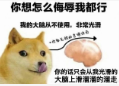 《微軟飛行模擬2024》評測9.0分系列飛躍，對中文玩家最好的一代-1806