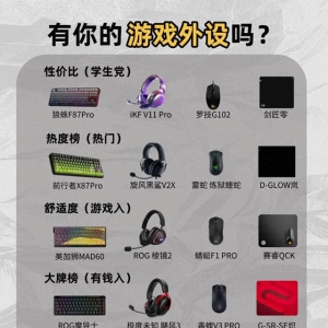 你的游戲外設(shè)嗎